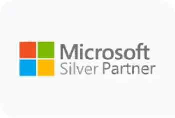 ms-silver-partner