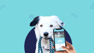 Best Apps for Dog Owners