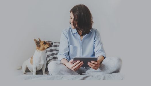 Pet Health App Development