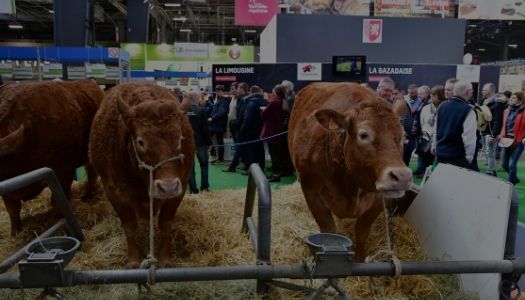 NCBA Convention 2020 – National Cattlemen’s Beef Association Trade Show