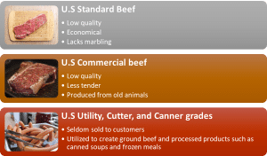 The Best Grades Of Meat As Per USDA Beef Grading System