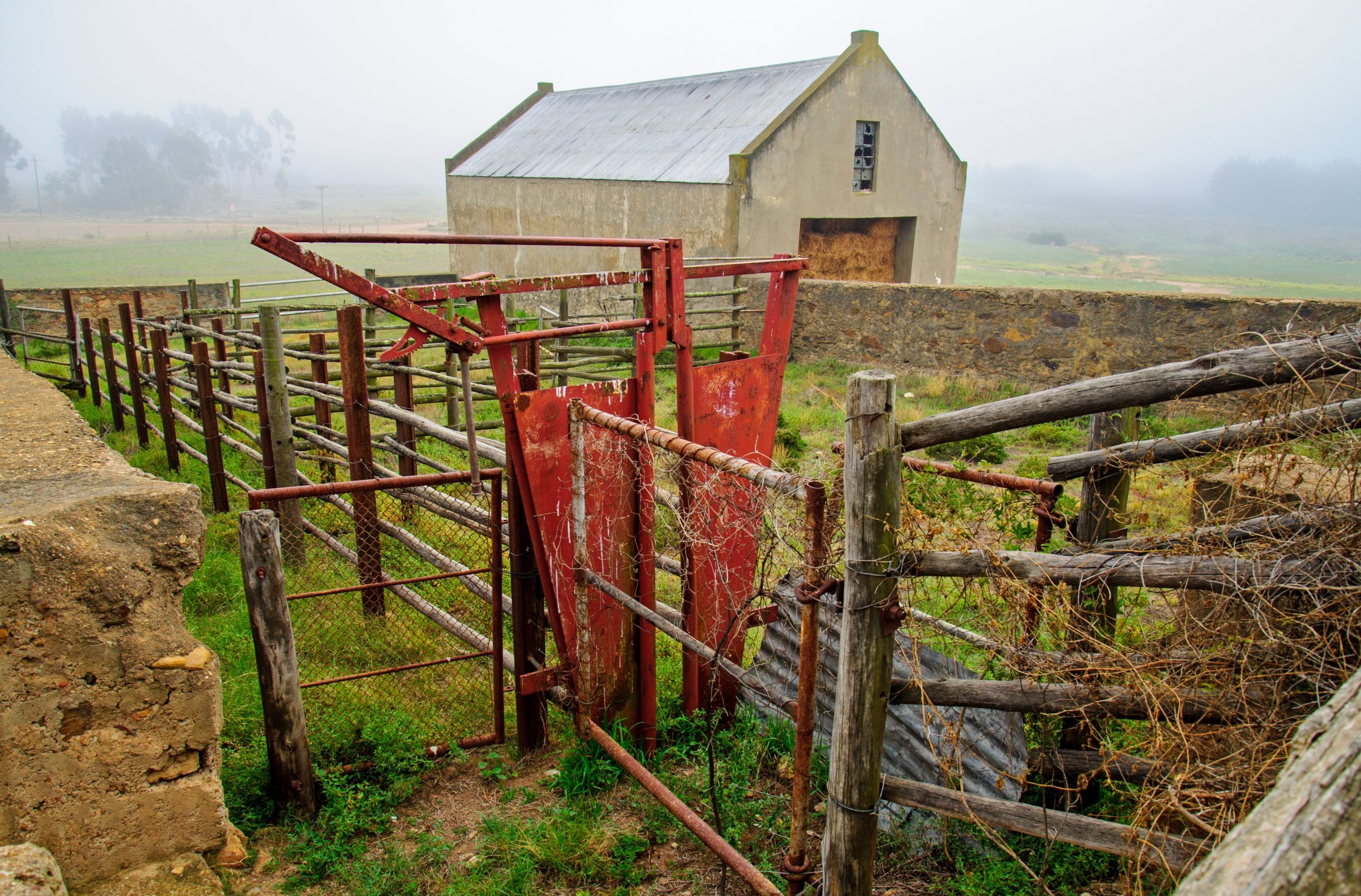 Small Herd Cattle Working Pens