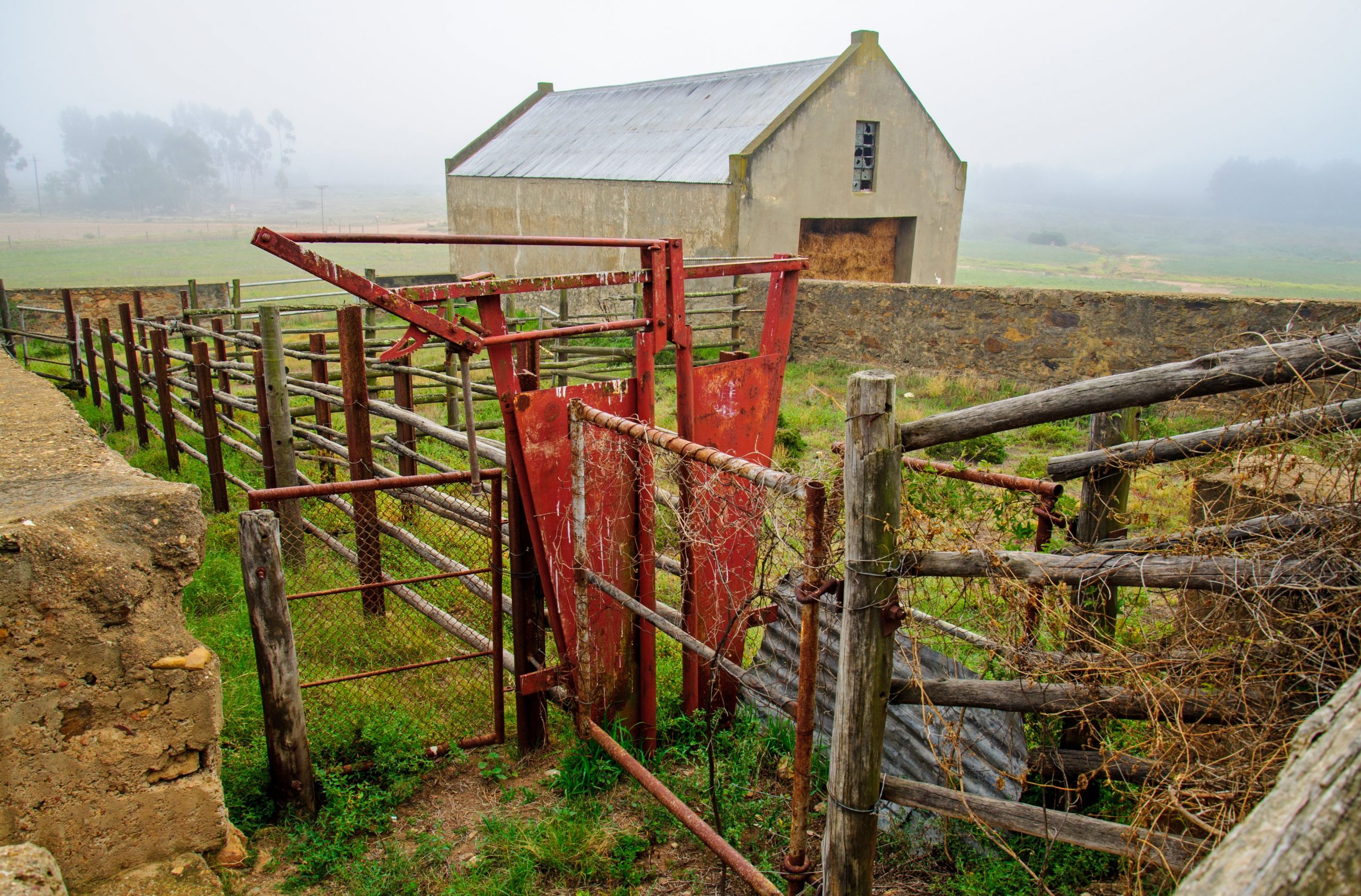 Best Tips To Handle Cattle The Small Herd Cattle Working Pens 2022