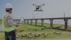 Drones in Agriculture - Crops and Livestock