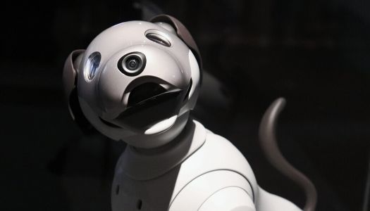 Pets.AI: From robot pets to robots for pets, how AI is changing the lives of pets and those who love them
