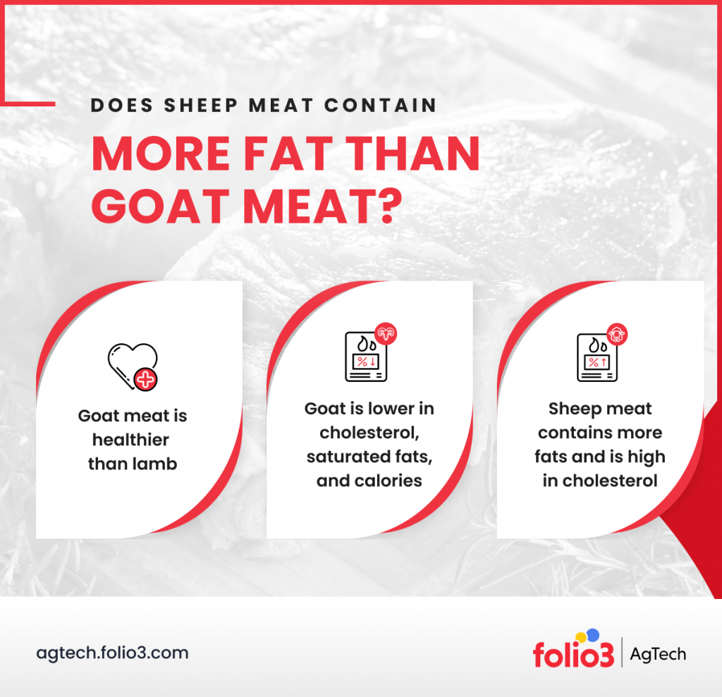 Lamb vs Goat 3 Key Differences Explained