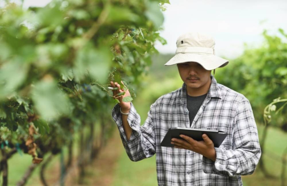 Farm Management