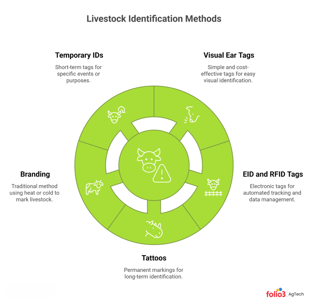 Livestock Identification Methods