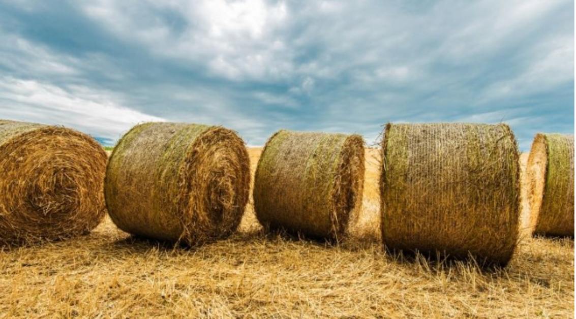 How Much Does A Bale Of Hay Weigh?