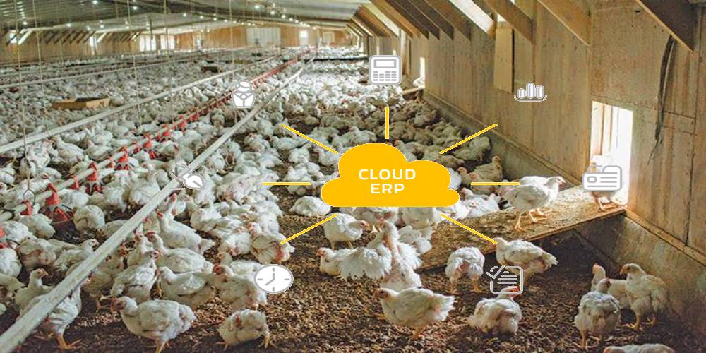 Cloud-Based ERP Software for Poultry Industry 2023