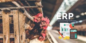 ERP Accounting Software for Poultry