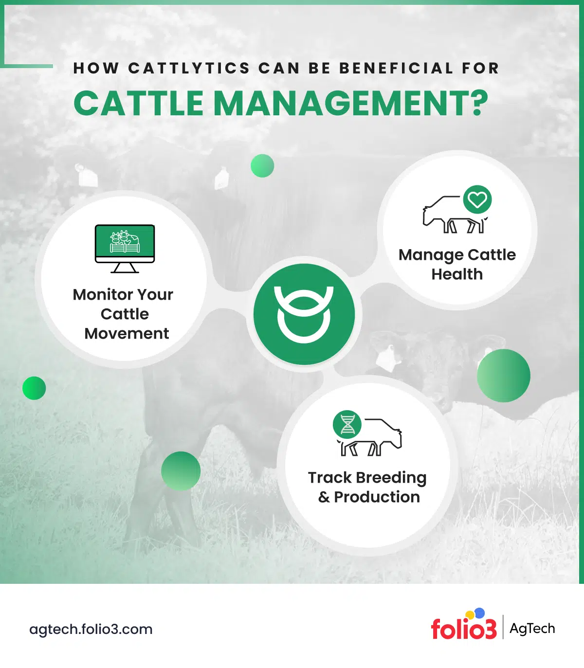 cattle Management Apps