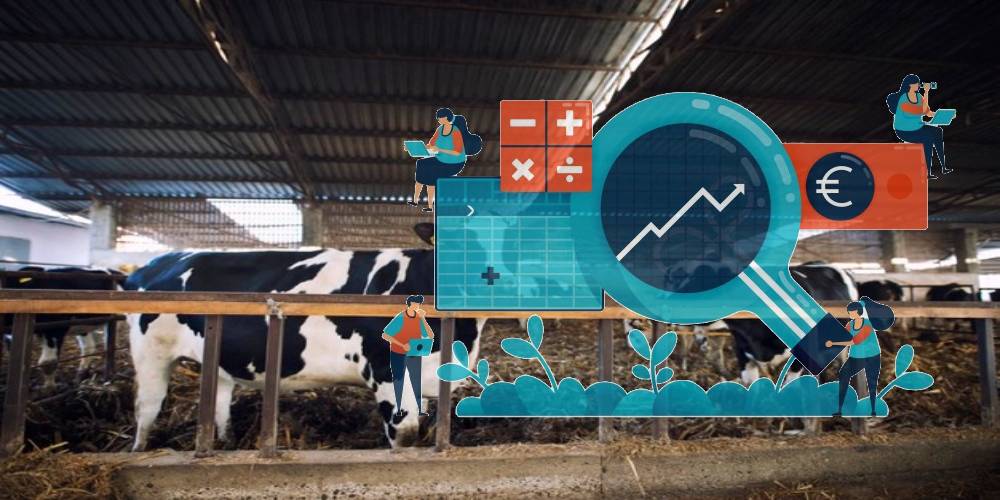 Farm Finance Tracking Tools