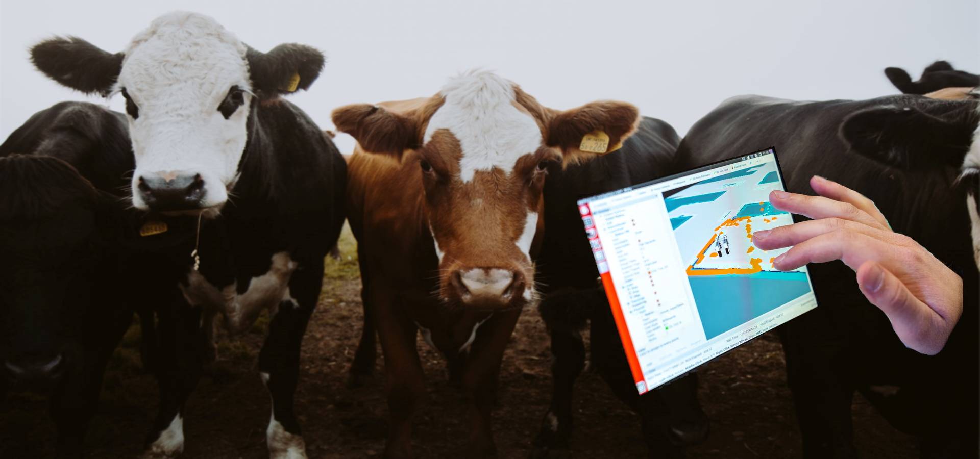 Digitalization in Transforming the Livestock