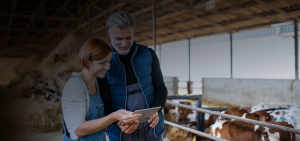 what are the key factors to manage Animal welfare and how to be proactive with them
