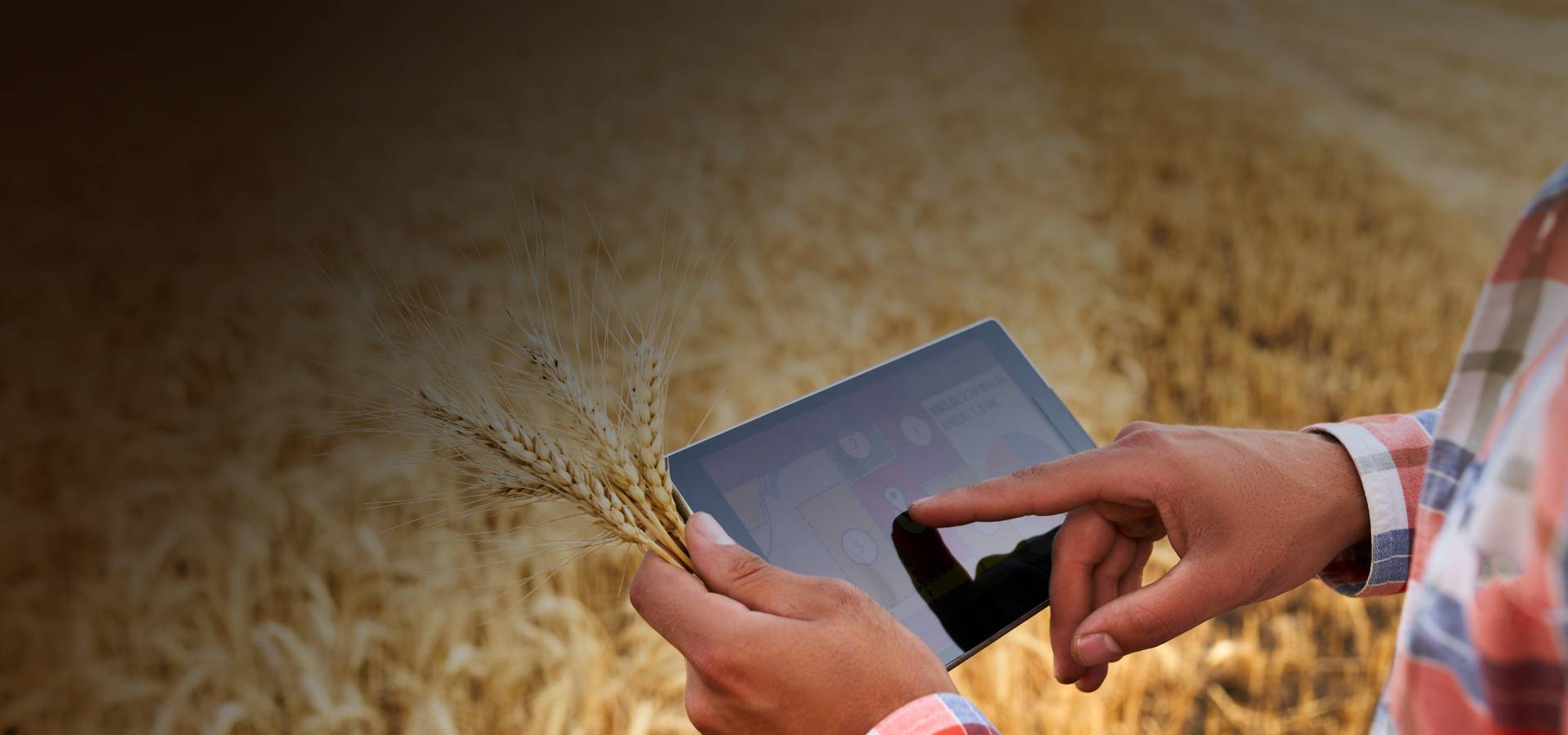 ERP for Farming