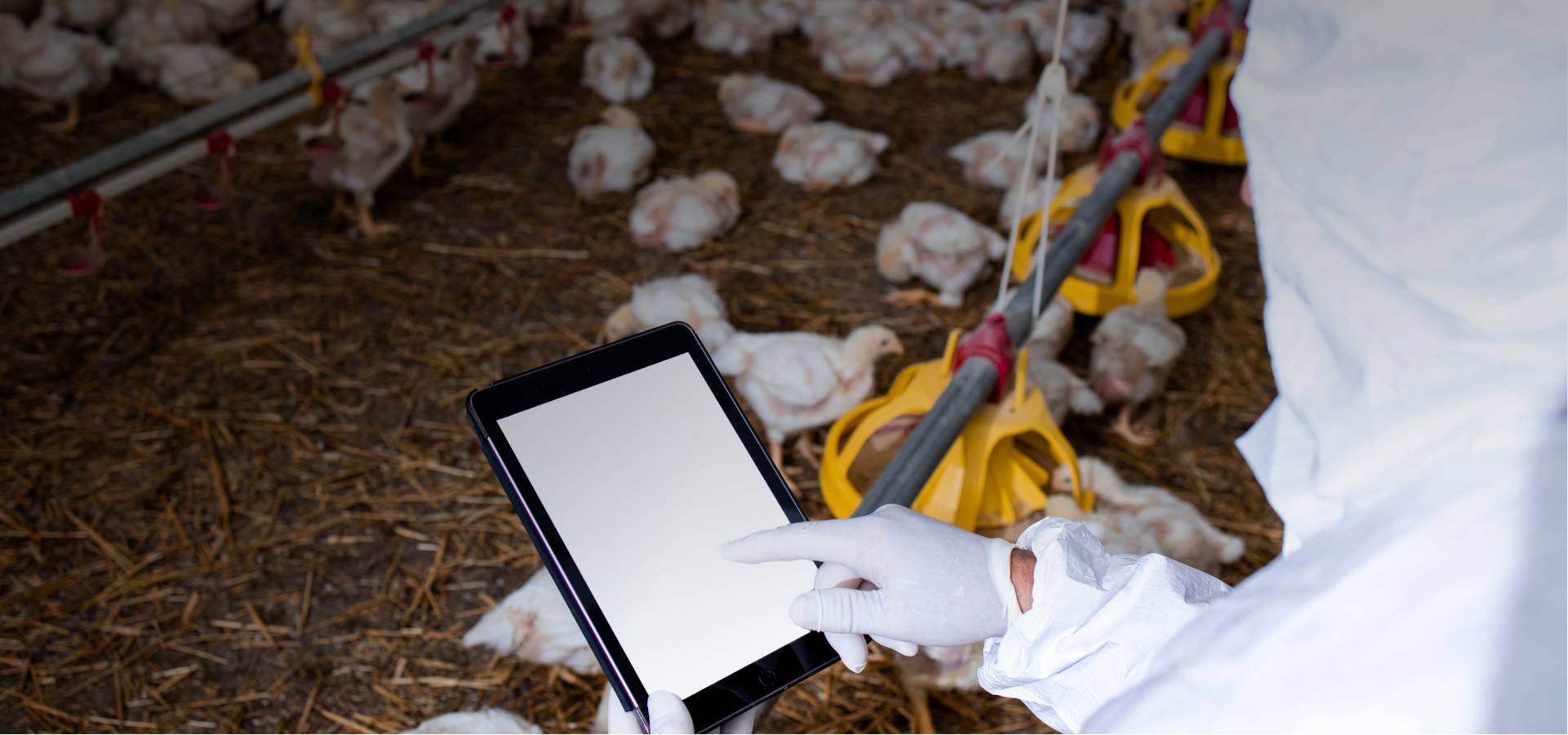 Poultry Farm Management Software