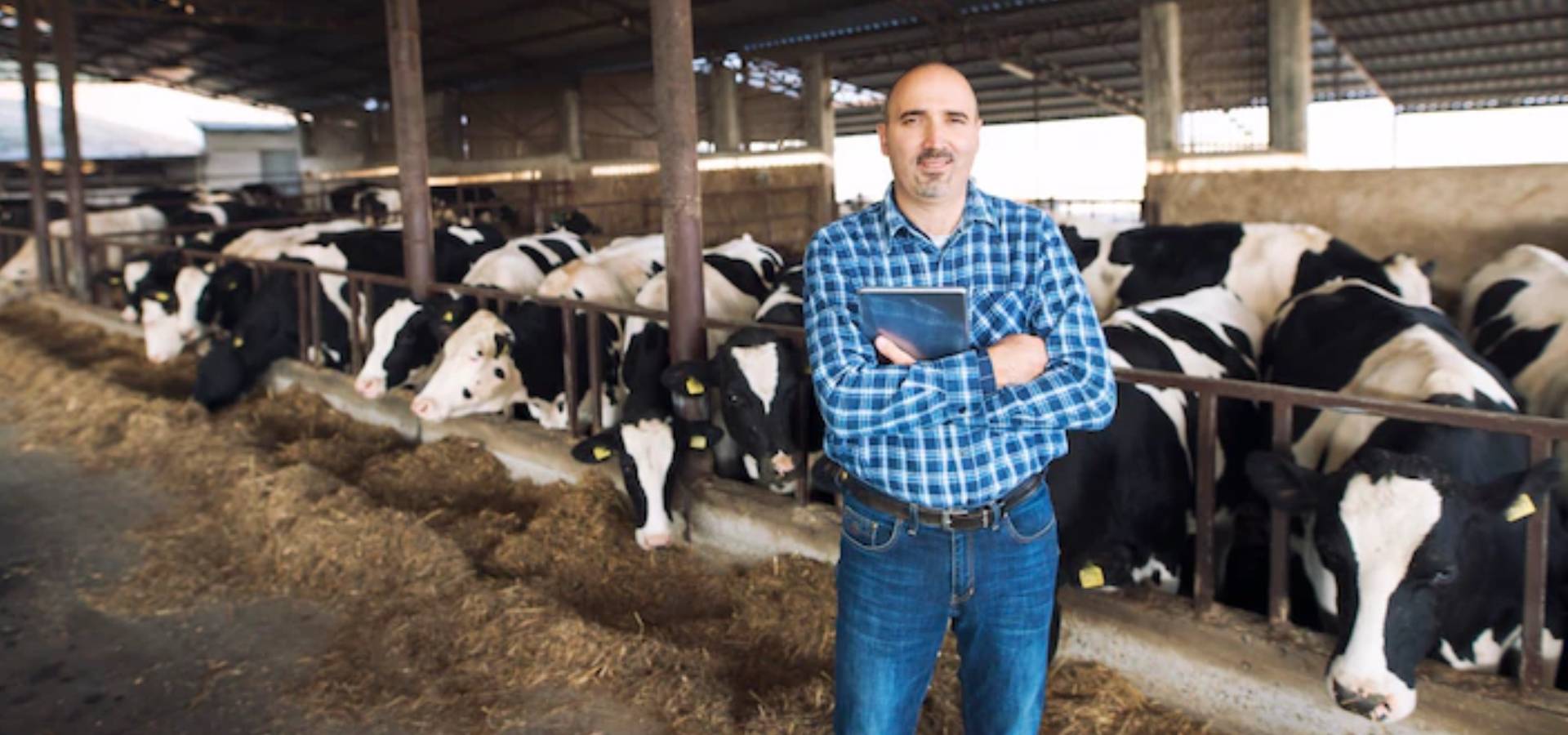 Feed Costs