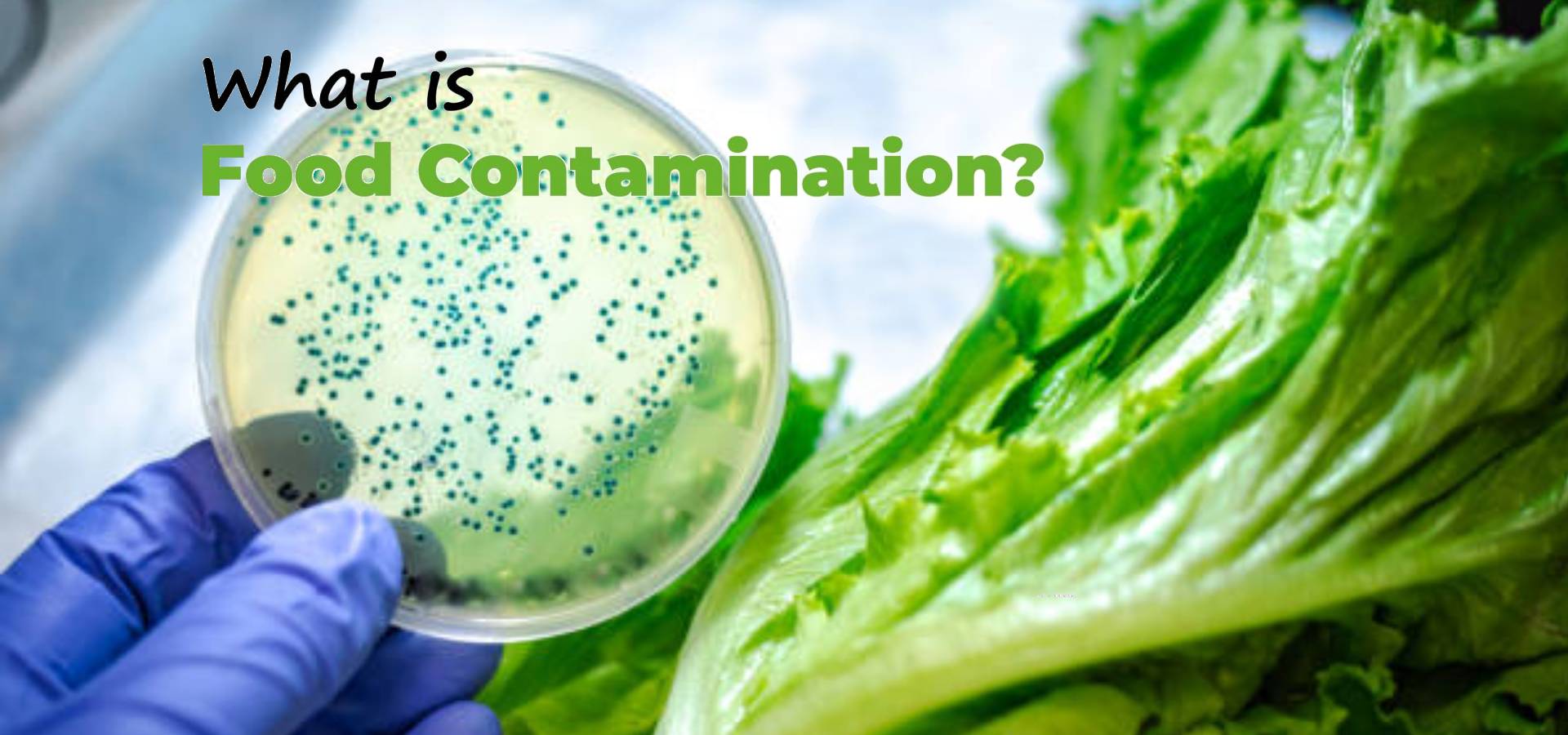types of food contamination