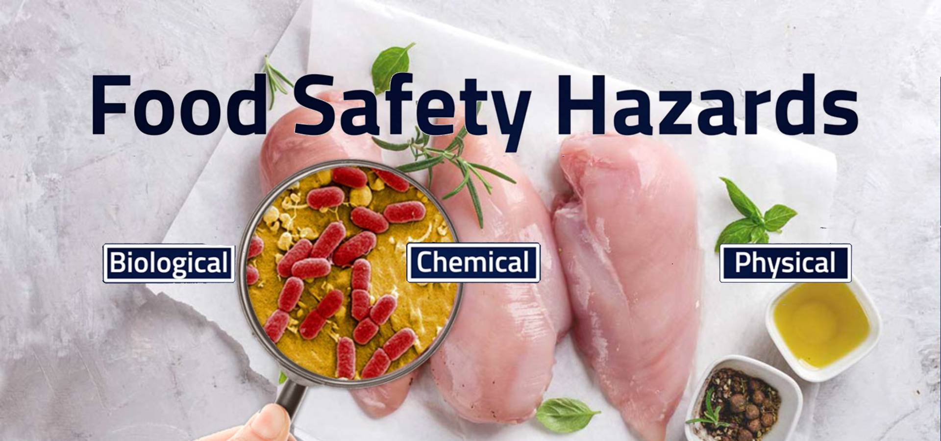 Food Safety Hazards 