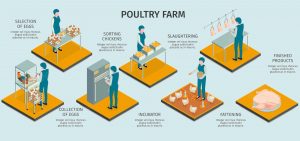 Poultry Farm Management Software (2)