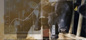 Role of Data in Animal Agtech