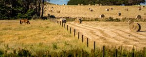 Farm management software