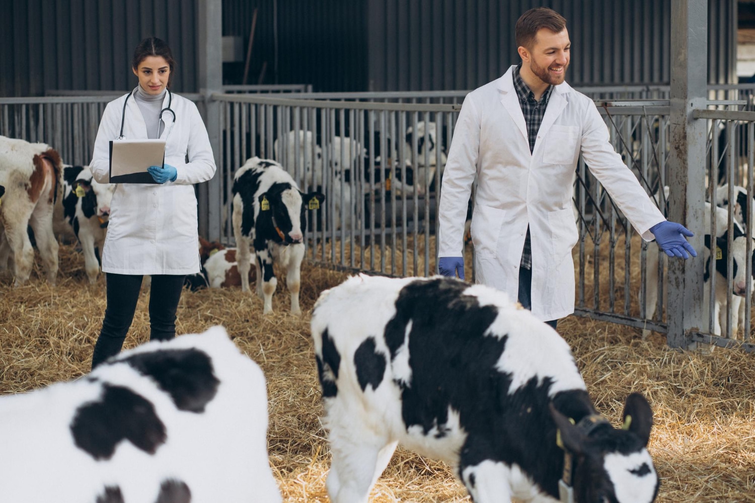 A Proactive Approach: Strengthening Livestock Farming Through Biosecurity Measures