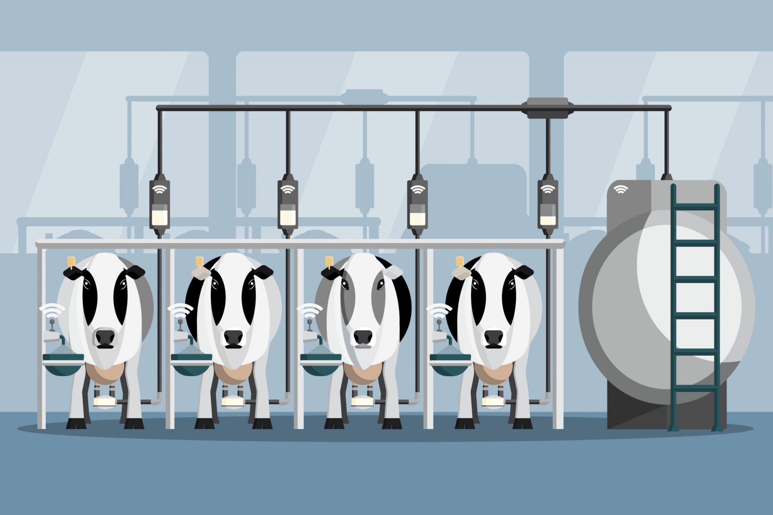 dairy herd management