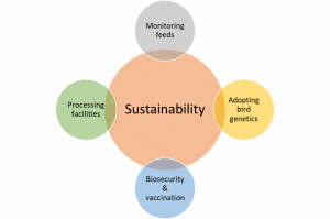 sustainable chicken farming diagram