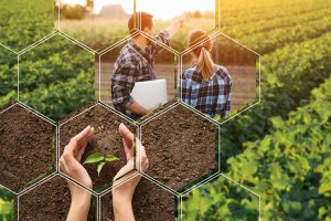 Agronomy and farming solutions in modern world