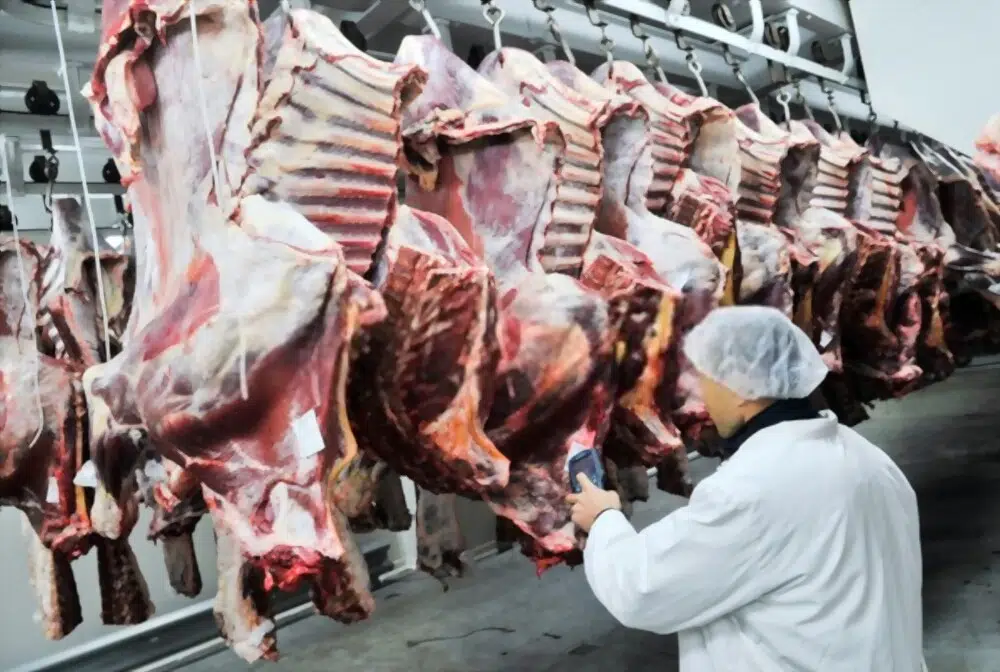 Food Safety Assessments Tools