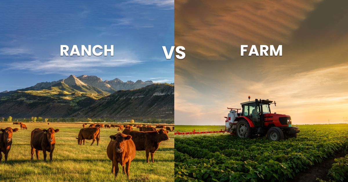 What Is the Difference Between A Farm and Ranch?