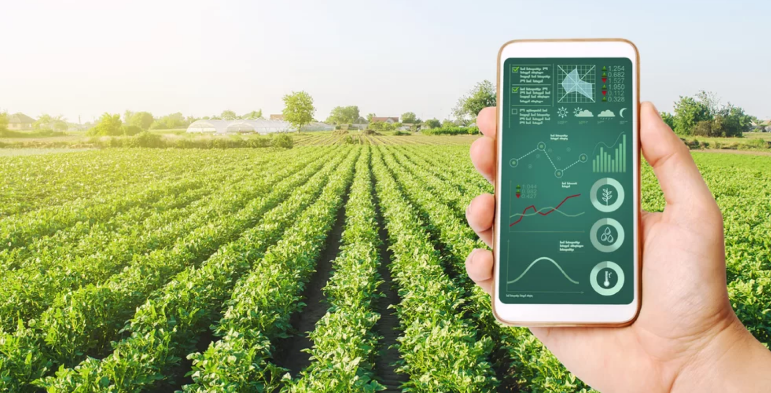 Technological Advancements in Agriculture: 7 Innovations