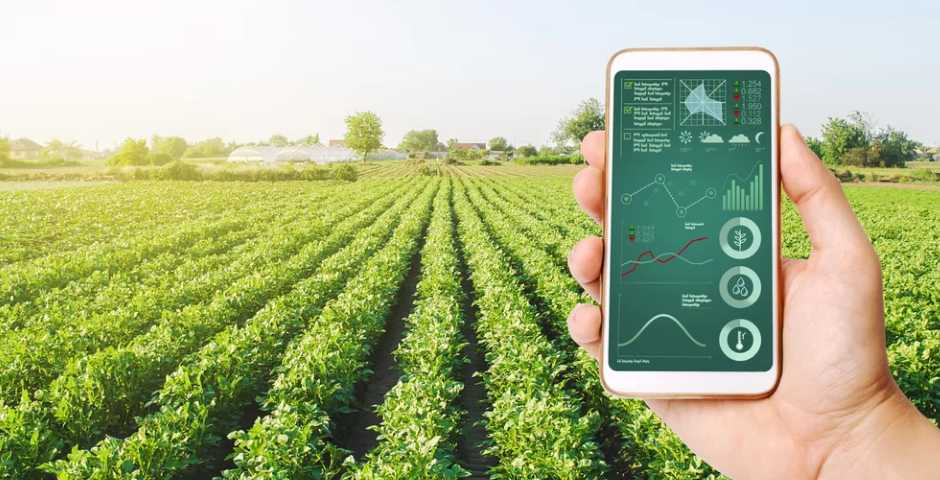 Technological Advancements in Agriculture