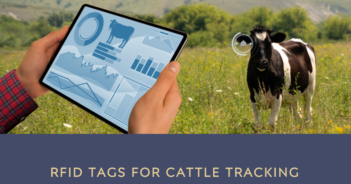 benefits of RFID Tags for Cattle Tracking 1
