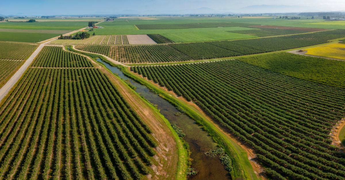 commercial farming