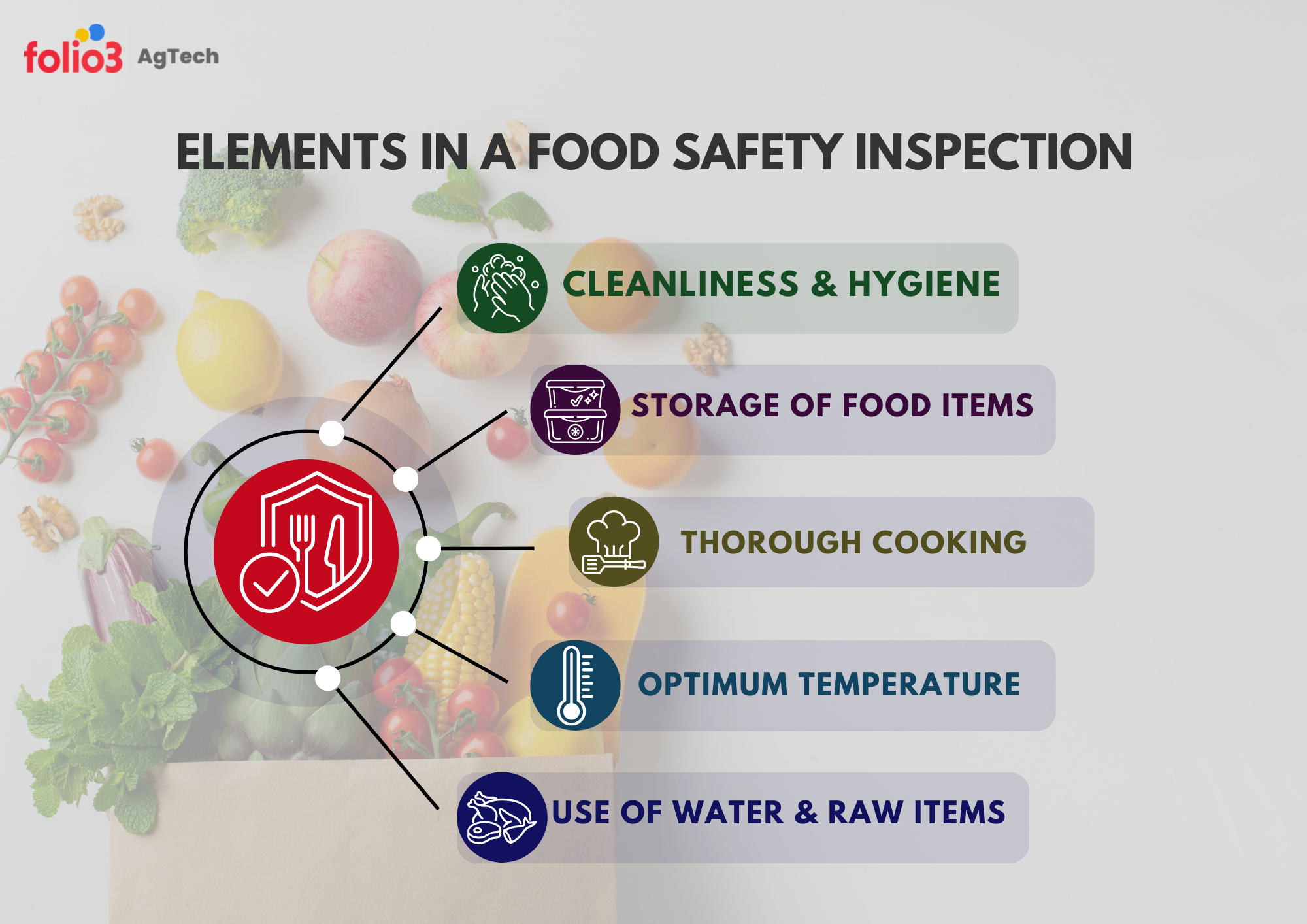 food safety inspection elements
