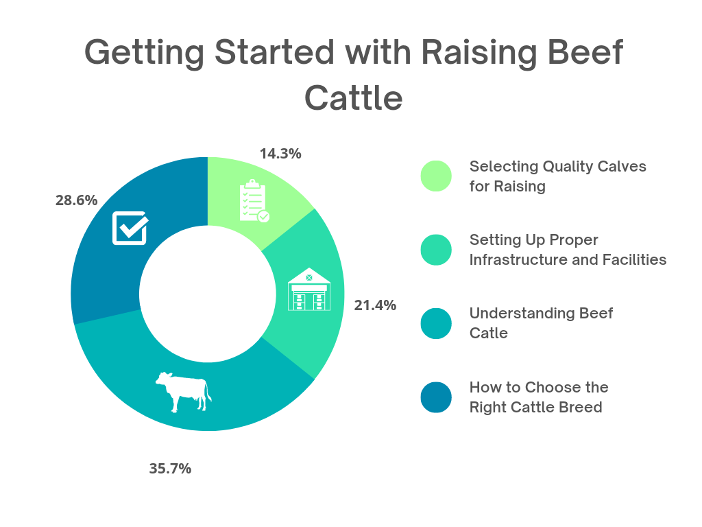 Getting Started with Raising Beef Cattle