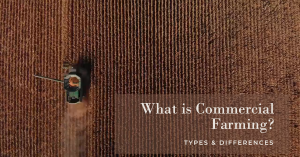 What is Commercial Farming Types Differences
