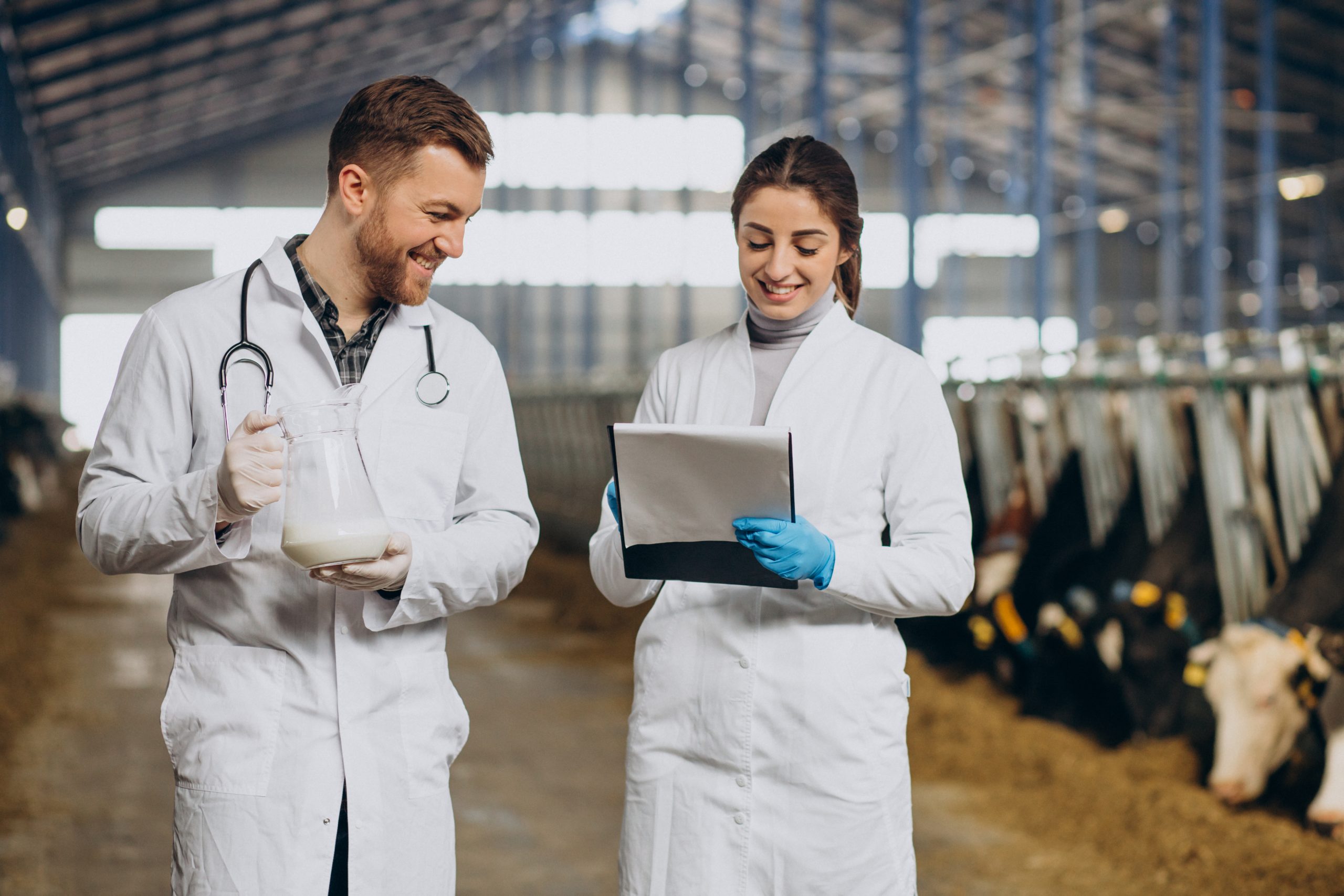 Essential Food Safety Practices for Meat Processing Plants