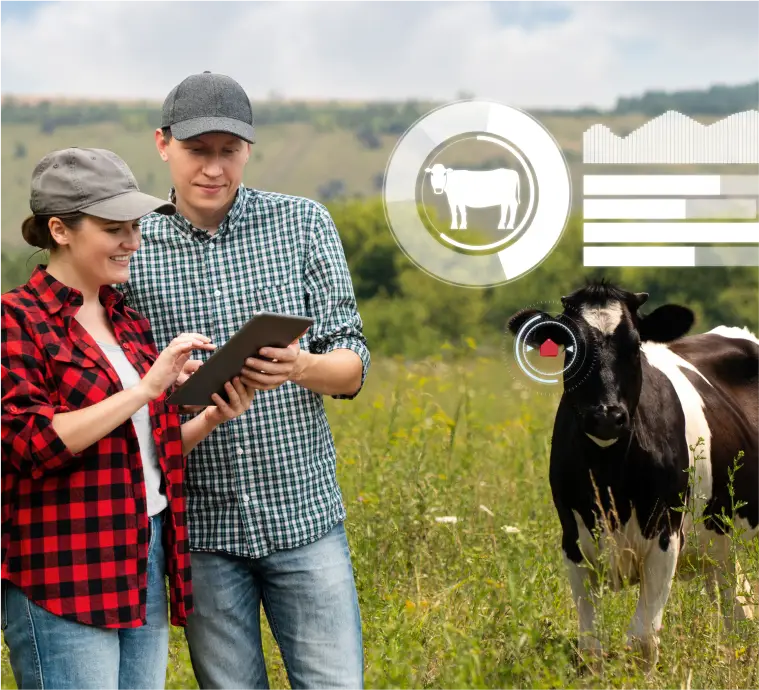 Improved Cattle Management Workflows