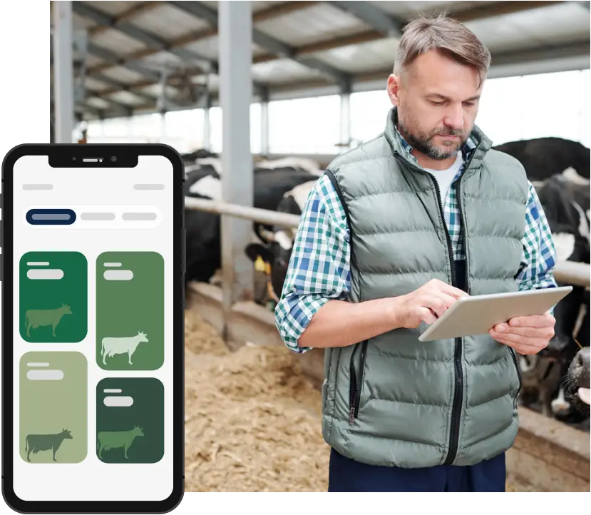 Cattle Feedlot Management Software
