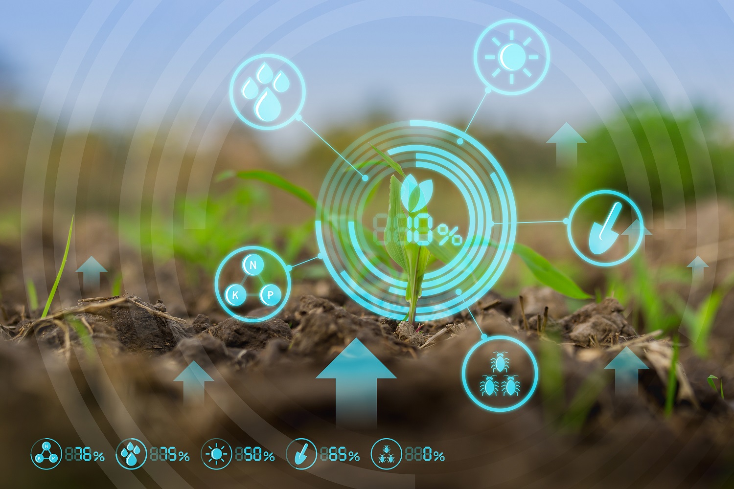 Smart Irrigation with Machine Learning for a California-Based Irrigation Management Solutions Provider