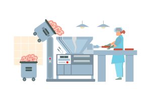 Ensuring Meat Safety: The Fundamentals of Developing a HACCP Plan for Processing Plants