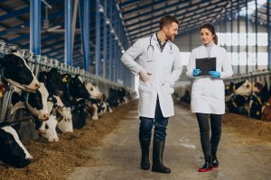 Tips to Go Digital with Your Cattle Record Keeping