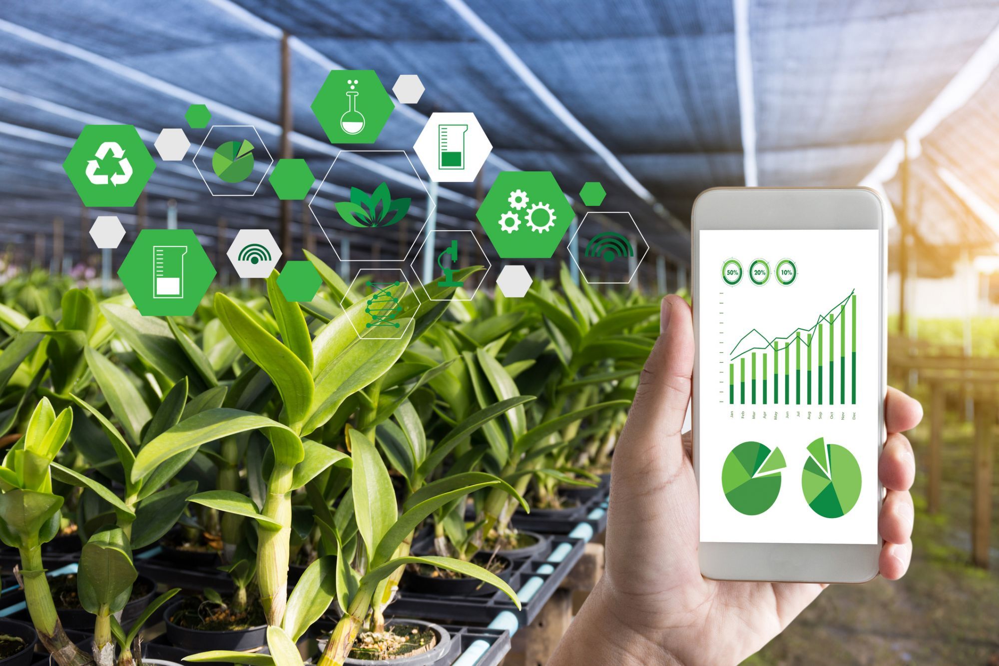 Learn How AI Can Empower Today’s Farmers