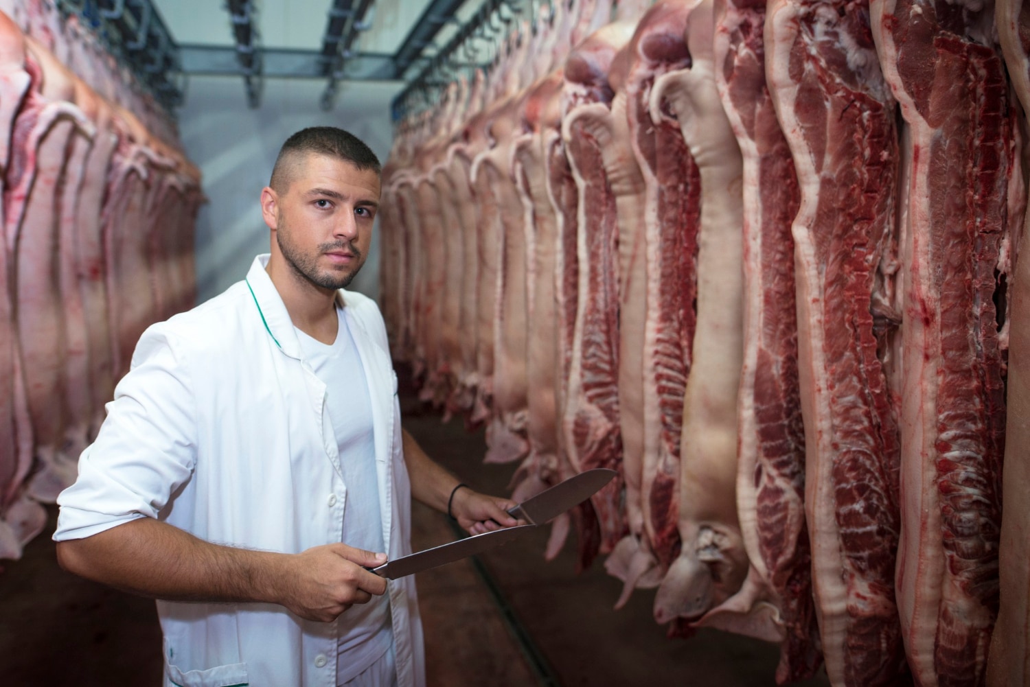 Mastering Beef Quality Assurance - Best Practices for Meat Producers