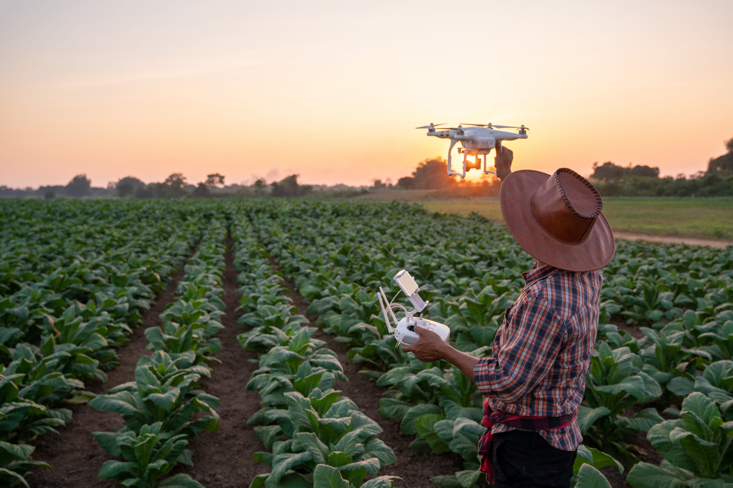 Drones in Agriculture – Revolutionizing the Farming Landscape