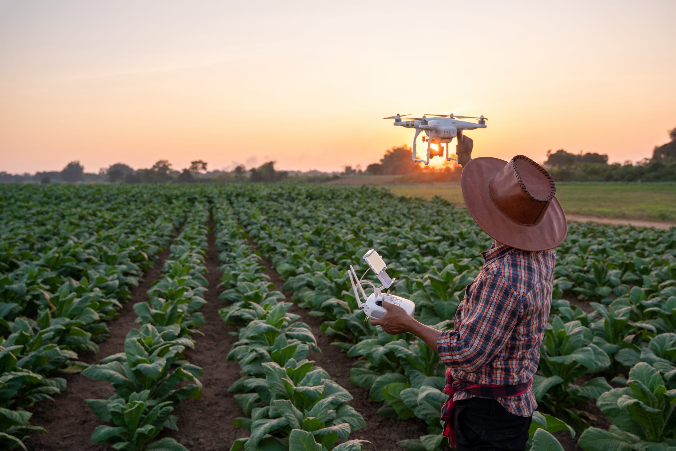 Drones in Agriculture